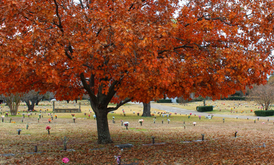 Laurel Oaks Cemetary
